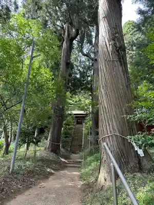 八幡神社(千葉県)