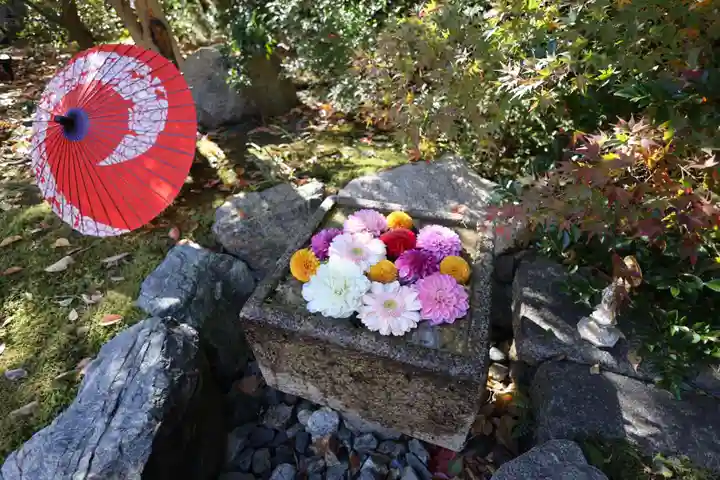 勝林寺(京都府)