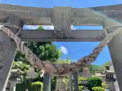 温泉神社の鳥居