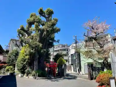 玉井稲荷神社の{uncategorized: "未分類", other: "その他", undefined: "問題あり", building: "その他建物", grave: "お墓", sacred_gate: "鳥居", guardian: "狛犬", statue: "像", buddha: "仏像", history: "歴史", nature: "自然", garden: "庭園", animal: "動物", pagoda: "塔", temizu: "手水舎", mountain_gate: "山門・神門", sanctuary: "本殿・本堂", subordinate: "末社・摂社", art: "芸術", scenery: "景色", jizo: "地蔵", ema: "絵馬", goshuin: "御朱印", omikuji: "おみくじ", items: "授与品その他", amulet: "お守り", goshuincho: "御朱印帳", eats: "食事", festival: "お祭り", votive_dance: "神楽", shichigosan: "七五三参", wedding: "結婚式", experience: "体験その他", initially: "初詣", around: "周辺", anti_infection: "感染症対策"}
