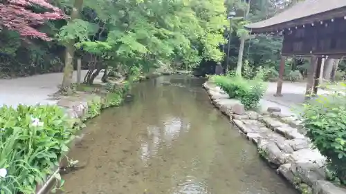 賀茂別雷神社（上賀茂神社）(京都府)