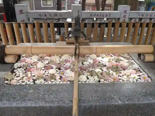 高円寺氷川神社の手水