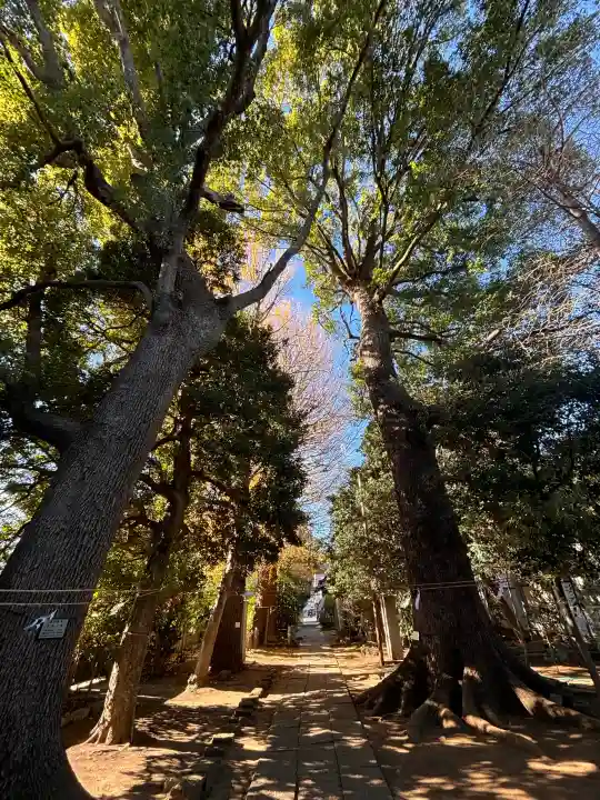 一山神社の{uncategorized: "未分類", other: "その他", undefined: "問題あり", building: "その他建物", grave: "お墓", sacred_gate: "鳥居", guardian: "狛犬", statue: "像", buddha: "仏像", history: "歴史", nature: "自然", garden: "庭園", animal: "動物", pagoda: "塔", temizu: "手水舎", mountain_gate: "山門・神門", sanctuary: "本殿・本堂", subordinate: "末社・摂社", art: "芸術", scenery: "景色", jizo: "地蔵", ema: "絵馬", goshuin: "御朱印", omikuji: "おみくじ", items: "授与品その他", amulet: "お守り", goshuincho: "御朱印帳", eats: "食事", festival: "お祭り", votive_dance: "神楽", shichigosan: "七五三参", wedding: "結婚式", experience: "体験その他", initially: "初詣", around: "周辺", anti_infection: "感染症対策"}