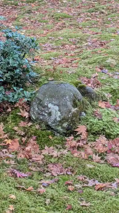 三千院門跡(京都府)