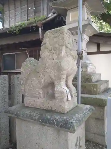 津田八幡神社の狛犬