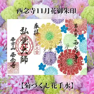【菊づくし花手水】一部三百円を浄財箱へご志納ください。なくなり次第終了となります。★本堂見学ご希望の方は前日までに要予約にてお願い致します。