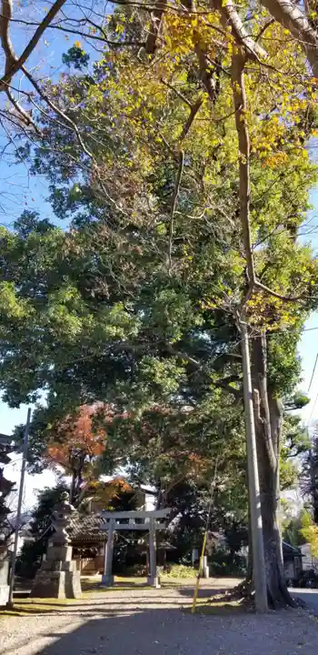 国府台天満宮(千葉県)