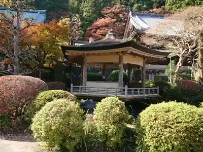 最乗寺（道了尊）の神楽