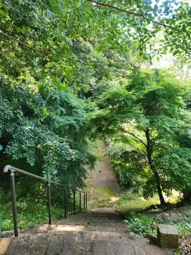 稲荷神社の{uncategorized: "未分類", other: "その他", undefined: "問題あり", building: "その他建物", grave: "お墓", sacred_gate: "鳥居", guardian: "狛犬", statue: "像", buddha: "仏像", history: "歴史", nature: "自然", garden: "庭園", animal: "動物", pagoda: "塔", temizu: "手水舎", mountain_gate: "山門・神門", sanctuary: "本殿・本堂", subordinate: "末社・摂社", art: "芸術", scenery: "景色", jizo: "地蔵", ema: "絵馬", goshuin: "御朱印", omikuji: "おみくじ", items: "授与品その他", amulet: "お守り", goshuincho: "御朱印帳", eats: "食事", festival: "お祭り", votive_dance: "神楽", shichigosan: "七五三参", wedding: "結婚式", experience: "体験その他", initially: "初詣", around: "周辺", anti_infection: "感染症対策"}