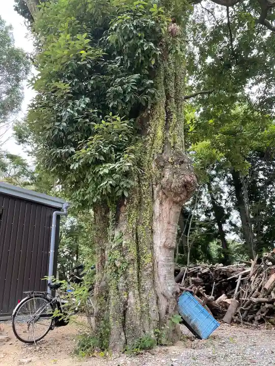今八幡宮(山口県)