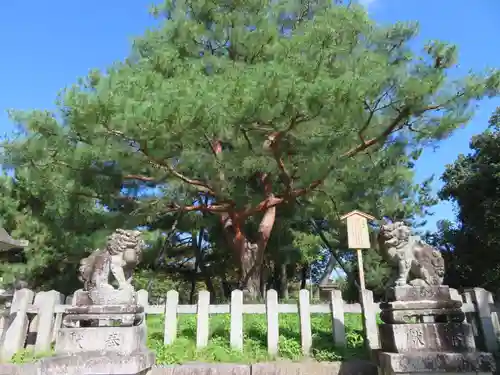 北野天満宮の庭園