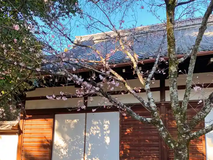 平野神社のその他建物