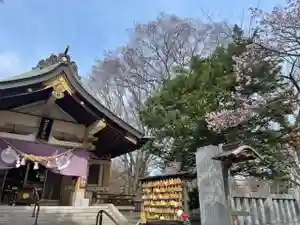 彌彦神社 (伊夜日子神社)の本殿・本堂(2024年04月24日(水) 09時19分36秒投稿)