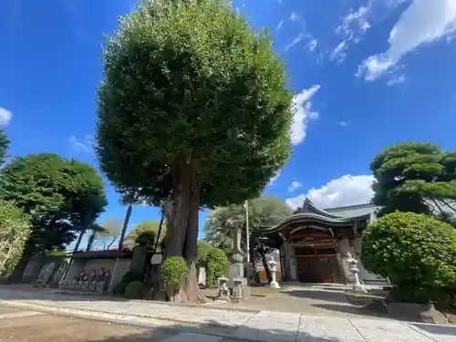 長流寺(千葉県)