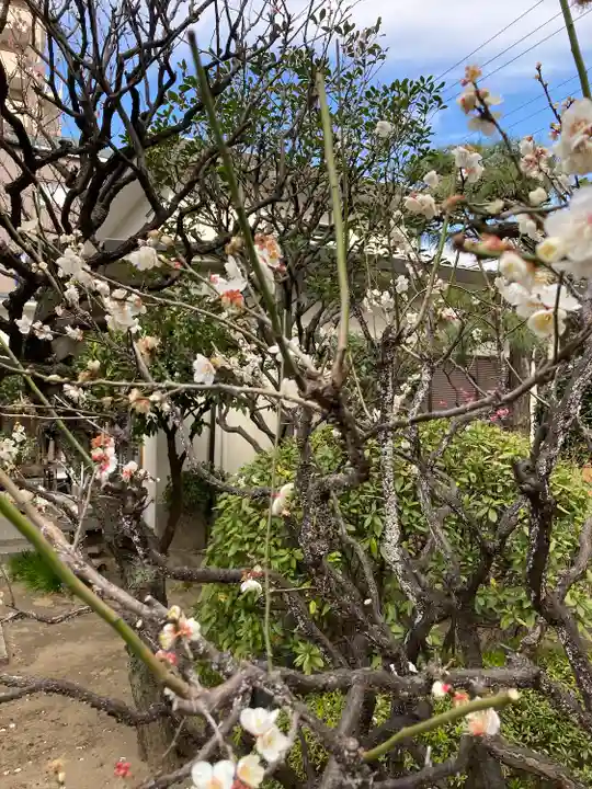 東光寺(神奈川県)