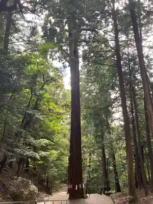 元伊勢内宮 皇大神社(京都府)