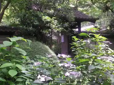 瑞泉寺のその他建物
