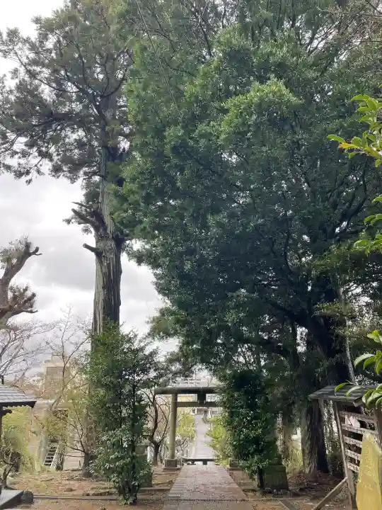 菅原神社の{uncategorized: "未分類", other: "その他", undefined: "問題あり", building: "その他建物", grave: "お墓", sacred_gate: "鳥居", guardian: "狛犬", statue: "像", buddha: "仏像", history: "歴史", nature: "自然", garden: "庭園", animal: "動物", pagoda: "塔", temizu: "手水舎", mountain_gate: "山門・神門", sanctuary: "本殿・本堂", subordinate: "末社・摂社", art: "芸術", scenery: "景色", jizo: "地蔵", ema: "絵馬", goshuin: "御朱印", omikuji: "おみくじ", items: "授与品その他", amulet: "お守り", goshuincho: "御朱印帳", eats: "食事", festival: "お祭り", votive_dance: "神楽", shichigosan: "七五三参", wedding: "結婚式", experience: "体験その他", initially: "初詣", around: "周辺", anti_infection: "感染症対策"}