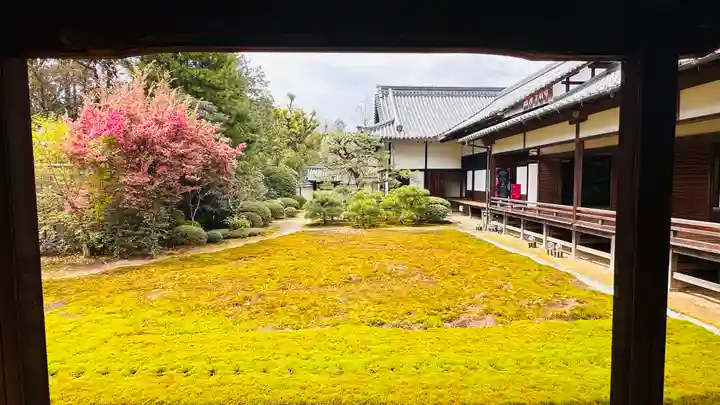 隨心院(随心院)(京都府)