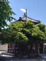 恵光院(福岡県)