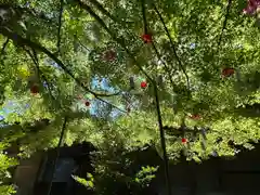 滑川神社 - 仕事と子どもの守り神(福島県)