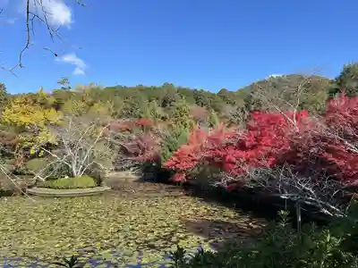龍安寺(京都府)