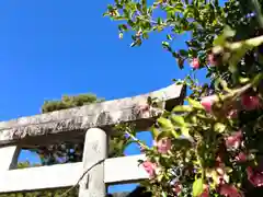 倶梨迦羅神社(長野県)