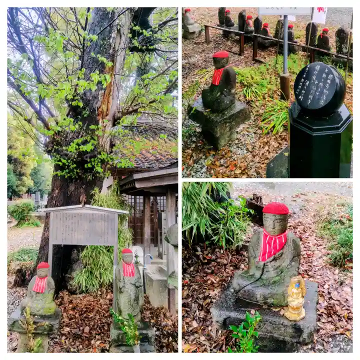 祇園山 徳城寺の{uncategorized: "未分類", other: "その他", undefined: "問題あり", building: "その他建物", grave: "お墓", sacred_gate: "鳥居", guardian: "狛犬", statue: "像", buddha: "仏像", history: "歴史", nature: "自然", garden: "庭園", animal: "動物", pagoda: "塔", temizu: "手水舎", mountain_gate: "山門・神門", sanctuary: "本殿・本堂", subordinate: "末社・摂社", art: "芸術", scenery: "景色", jizo: "地蔵", ema: "絵馬", goshuin: "御朱印", omikuji: "おみくじ", items: "授与品その他", amulet: "お守り", goshuincho: "御朱印帳", eats: "食事", festival: "お祭り", votive_dance: "神楽", shichigosan: "七五三参", wedding: "結婚式", experience: "体験その他", initially: "初詣", around: "周辺", anti_infection: "感染症対策"}