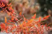 阿久津「田村神社」(郡山市阿久津町)旧社名:伊豆箱根三嶋三社の庭園