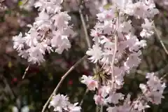 妙本寺(神奈川県)