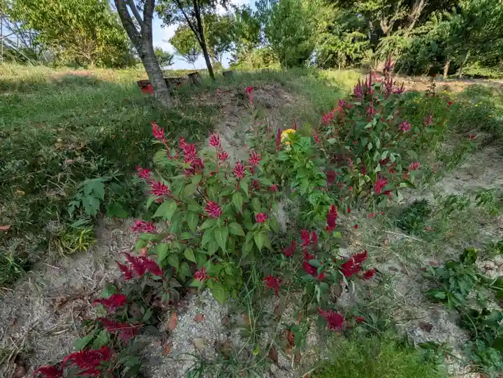 阿久津「田村神社」(郡山市阿久津町)旧社名:伊豆箱根三嶋三社(福島県)
