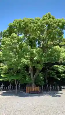 巴江神社(愛知県)