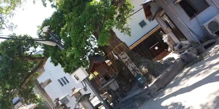 櫟谷七野神社(京都府)