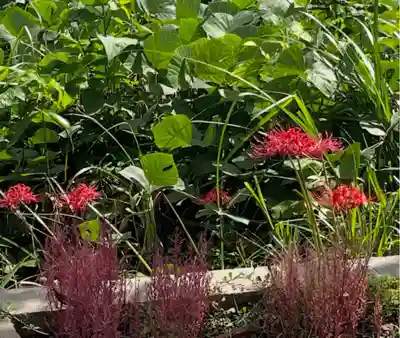 国上寺(新潟県)