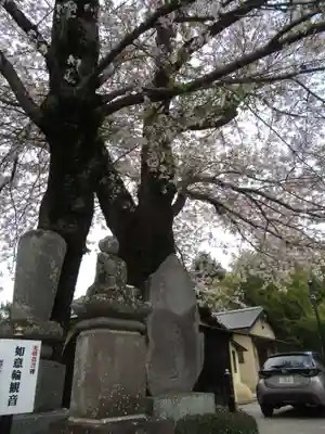 真光寺(千葉県)