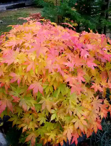 多賀神社の自然