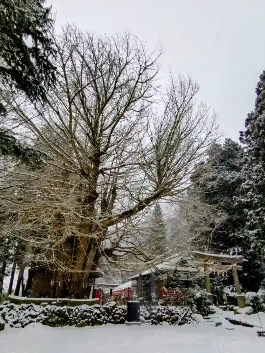 山寺日枝神社(山形県)