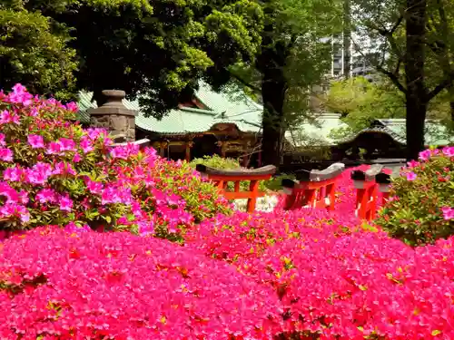 根津神社の景色