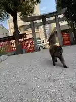 十日恵比須神社(福岡県)