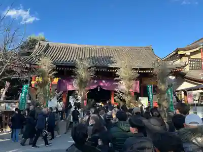 浅草神社の初詣