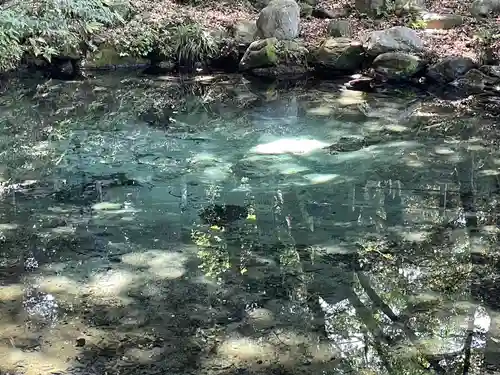 泉神社(茨城県)
