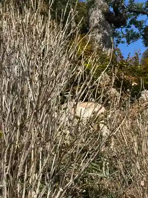 楽法寺（雨引観音）(茨城県)