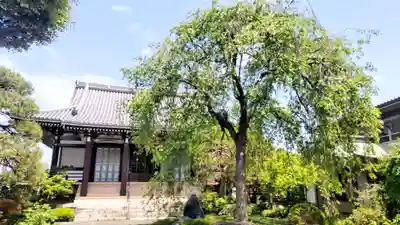 圓照寺(東京都)