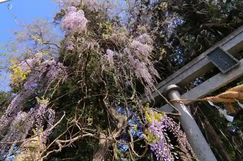 春日神社の景色