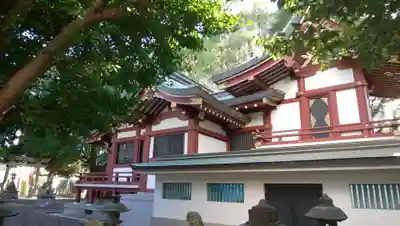 小金八坂神社の本殿・本堂