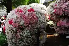 根津神社の庭園