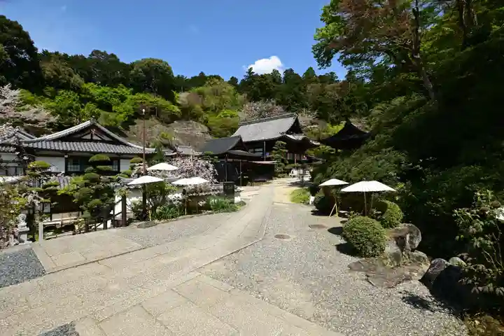 岡寺(龍蓋寺)(奈良県)