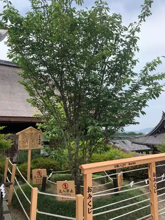 地主神社のその他建物