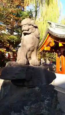 浅草神社の狛犬