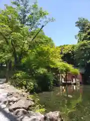 富士山本宮浅間大社(静岡県)